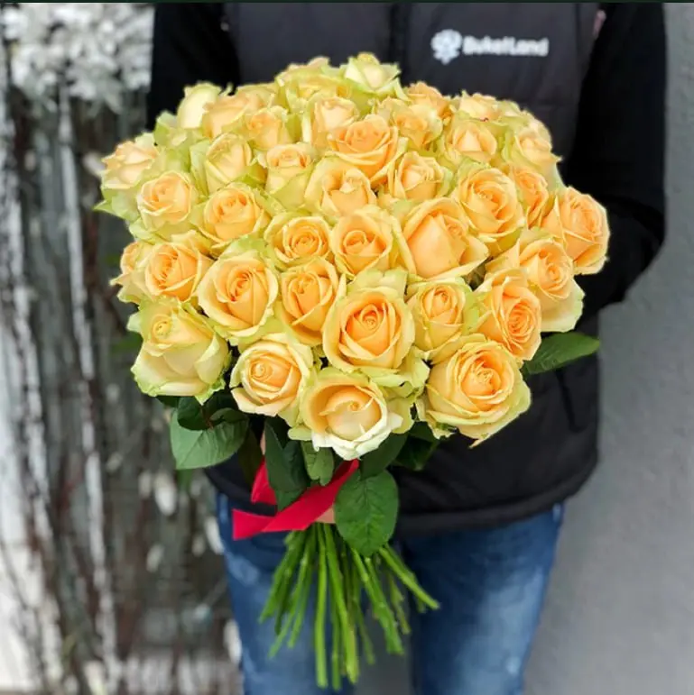 Кремовые розы 25
