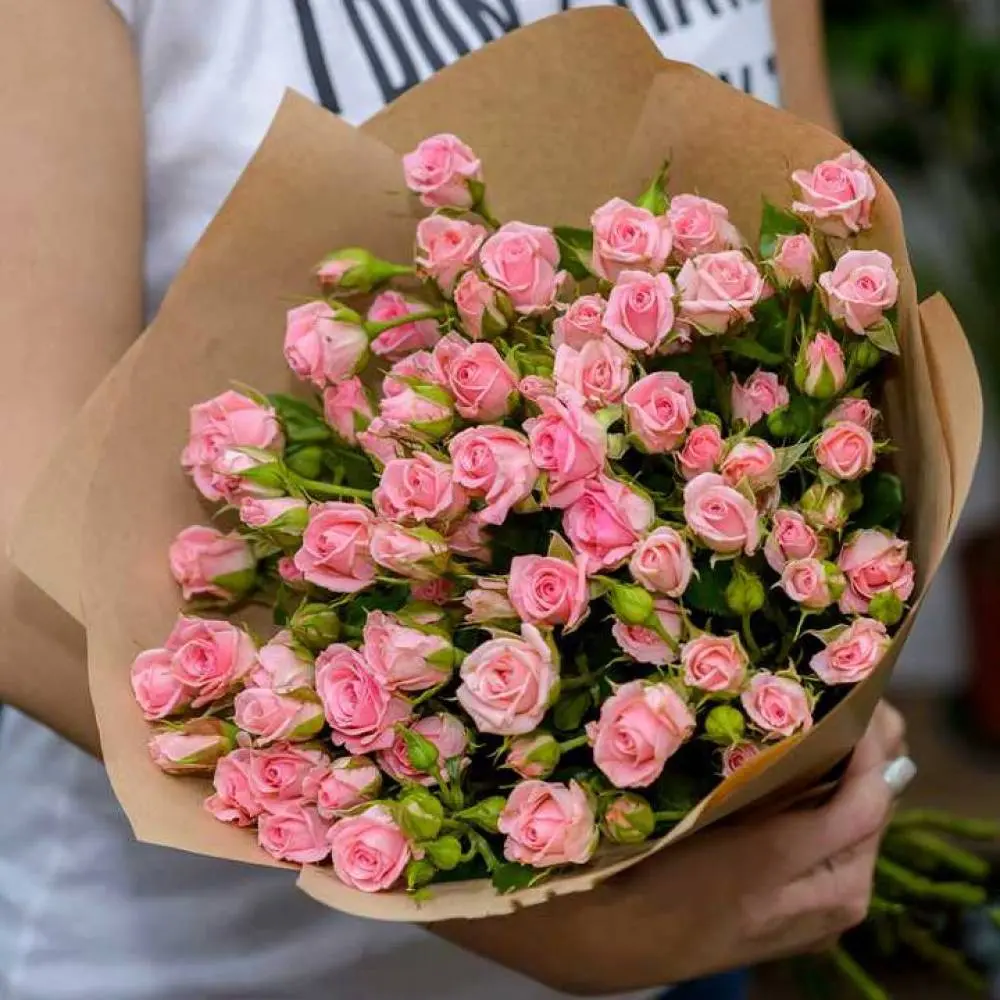 Кустовые розы Pink