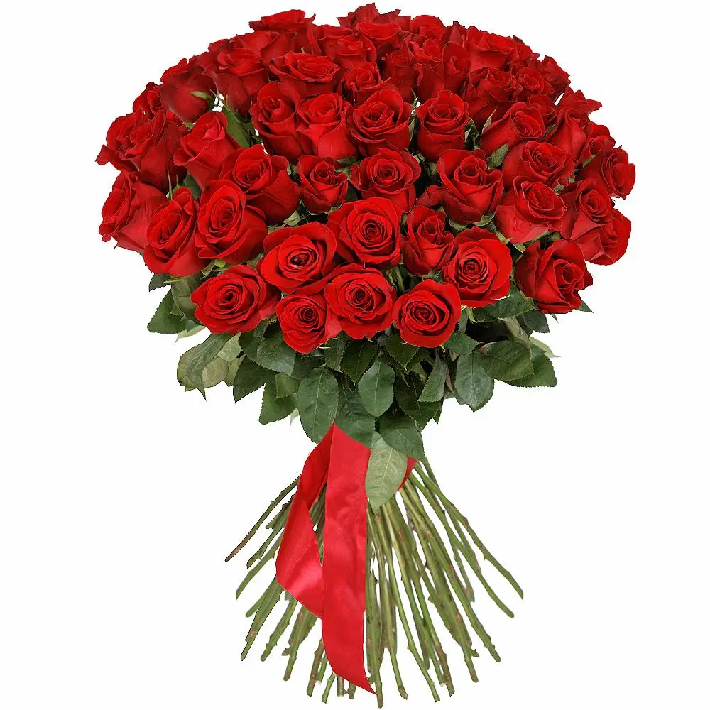 Алые розы 25